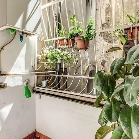 Appartement Exquisite Domus By Piazza Navona *